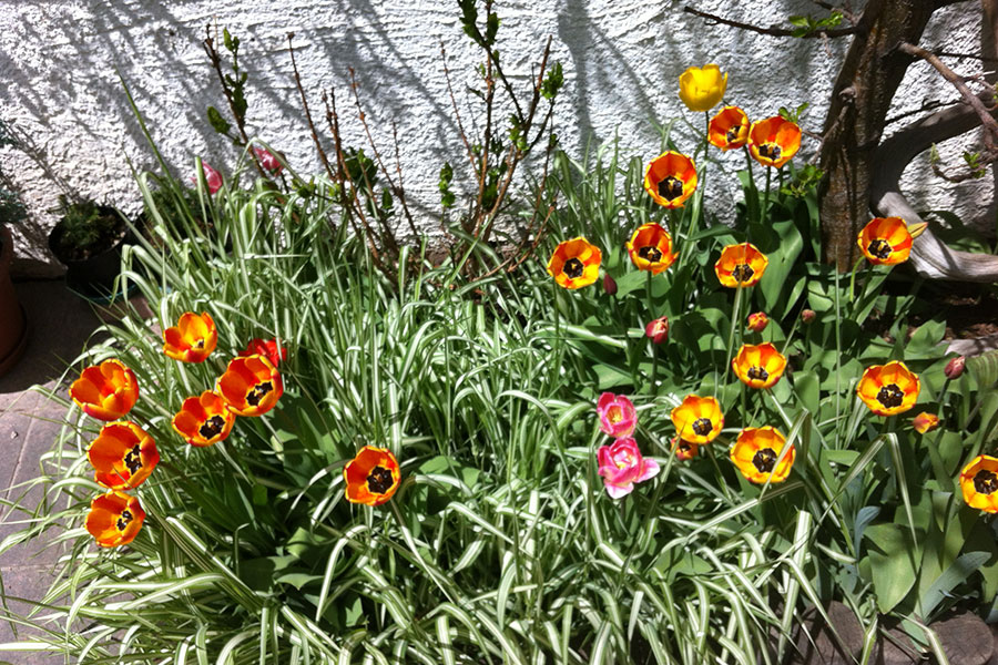 Apartments Col da Vent Corvara